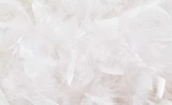 Stehleuchte, 1-flammig, Schirm aus Federn -Innenleuchten Verkaufsladen 10686477 4 201811271516