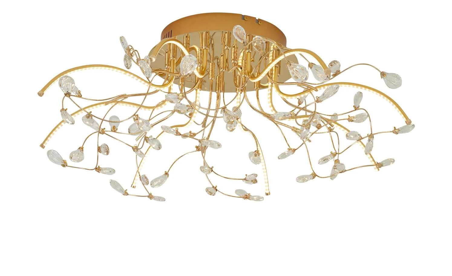 B-Leuchten LED-Deckenleuchte, messing poliert mit Glasblättern | Messing glänzend 6 B-Leuchten LED-Deckenleuchte, messing poliert mit Glasblättern | Messing glänzend – Bild 6