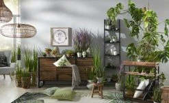 HOME STORY Rattan-Pendelleuchte, 1-flammig