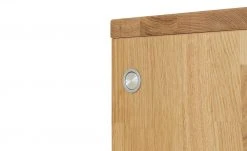 WÖSTMANN LED-Beleuchtung WM 1910 13 WÖSTMANN LED-Beleuchtung WM 1910 -Innenleuchten Verkaufsladen 11227910 4 202202160006