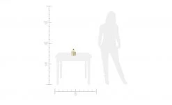 Tischleuchte, 1-flammig, Messing matt -Innenleuchten Verkaufsladen 11680328 5 202106082233