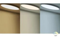 Meisterleuchten Smart Home-Deckenleuchte, oval