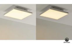 Paul Neuhaus LED-Deckenleuchte weiß -Innenleuchten Verkaufsladen 11684862 6 202009112239