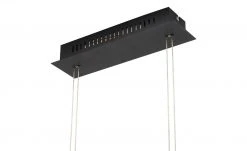 Fischer-Honsel Pendelleuchte, 1-flammig, schwarz/ Rauchglas -Innenleuchten Verkaufsladen 11684924 5 202202242232