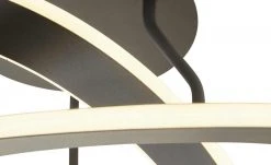 Trio LED-Deckenleuchte, anthrazit -Innenleuchten Verkaufsladen 11685015 4 202103162233