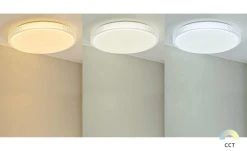 Paul Neuhaus Smart Home-Deckenleuchte, 1-flammig, Kristalloptik 12 Paul Neuhaus Smart Home-Deckenleuchte, 1-flammig, Kristalloptik -Innenleuchten Verkaufsladen 11685172 4 202001302236