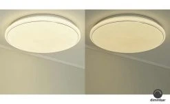 Paul Neuhaus Smart Home-Deckenleuchte, 1-flammig 11 Paul Neuhaus Smart Home-Deckenleuchte, 1-flammig -Innenleuchten Verkaufsladen 11685173 2 202001302236