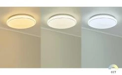 Paul Neuhaus Smart Home-Deckenleuchte, 1-flammig 12 Paul Neuhaus Smart Home-Deckenleuchte, 1-flammig -Innenleuchten Verkaufsladen 11685185 4 202001302236