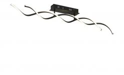 Meisterleuchten LED-Deckenleuchte, 2-flamiig, schwarz `gedreht´ -Innenleuchten Verkaufsladen 11685329 3 202103021436