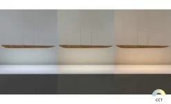 LED-Pendelleuchte, 1-flammig, Asteiche -Innenleuchten Verkaufsladen 11685335 6 202101202235