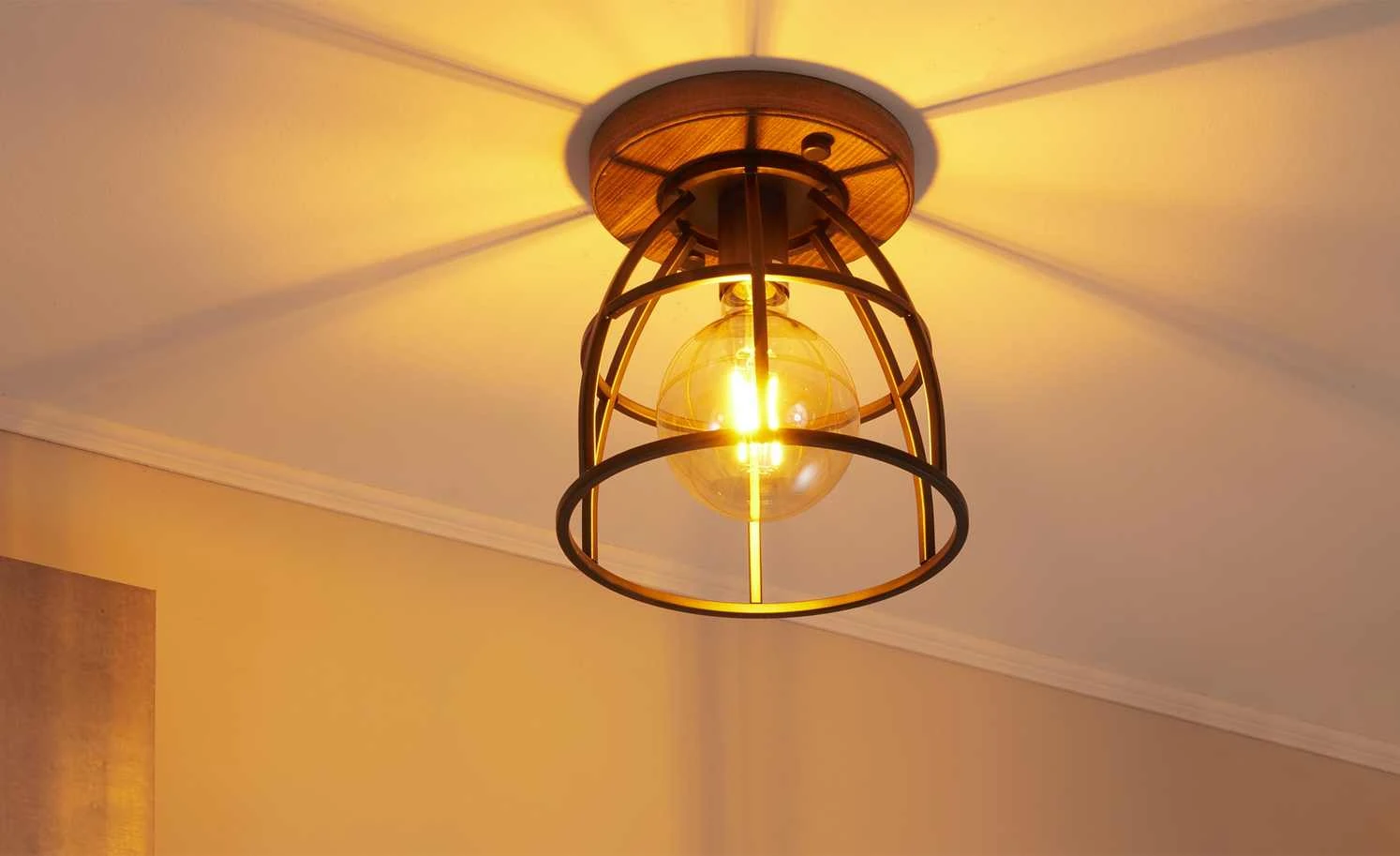 Deckenleuchte, 1-flammig Metall schwarz 1 Deckenleuchte, 1-flammig Metall schwarz