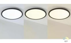 Paul Neuhaus LED-Deckenleuchte, Schwarz, rund -Innenleuchten Verkaufsladen 11685819 4 202010290737