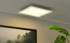 Paul Neuhaus LED-Deckenleuchte, weiß