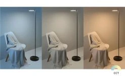 B-Leuchten LED-Stehleuchte, 1-flammig, anthrazit | Schwarz 13 B-Leuchten LED-Stehleuchte, 1-flammig, anthrazit | Schwarz -Innenleuchten Verkaufsladen 11686216 6 202110211246