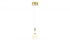 B-Leuchten LED-Pendelleuchte, 1-flammig, messing-matt | Goldfarben -Innenleuchten Verkaufsladen 11686223 5 202112232232