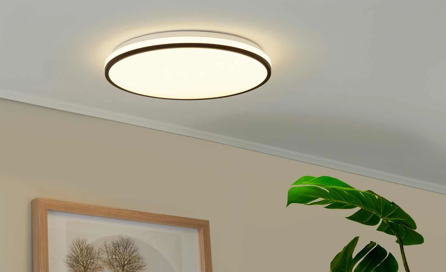 LED-Deckenleuchte, weiß mit schwarzem Ring | 24|W 3 LED-Deckenleuchte, weiß mit schwarzem Ring | 24|W – Bild 3