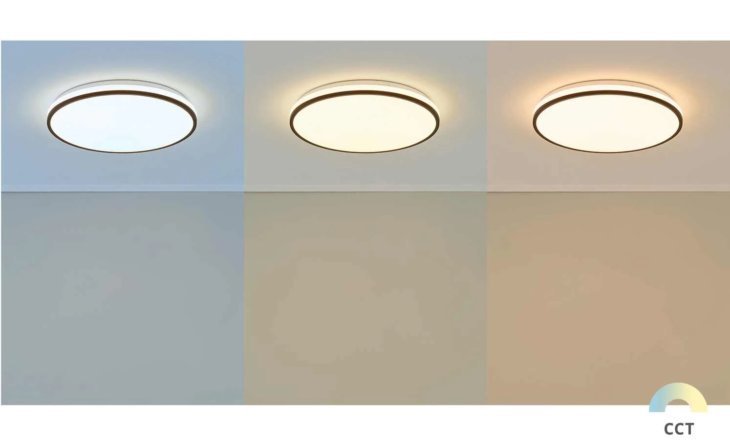 LED-Deckenleuchte, weiß mit schwarzem Ring | 24|W 1 LED-Deckenleuchte, weiß mit schwarzem Ring | 24|W