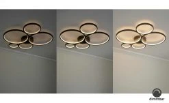 Trio LED-Deckenleuchte, Kreise, schwarz -Innenleuchten Verkaufsladen 11686500 7 202103301234