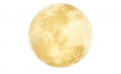 Trio LED-Deckenleuchte in Mondoptik `klein´ | 22|W -Innenleuchten Verkaufsladen 11687201 3 202201251234