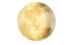 Trio LED-Deckenleuchte in Mondoptik `klein´ | 22|W -Innenleuchten Verkaufsladen 11687201 4 202201251234