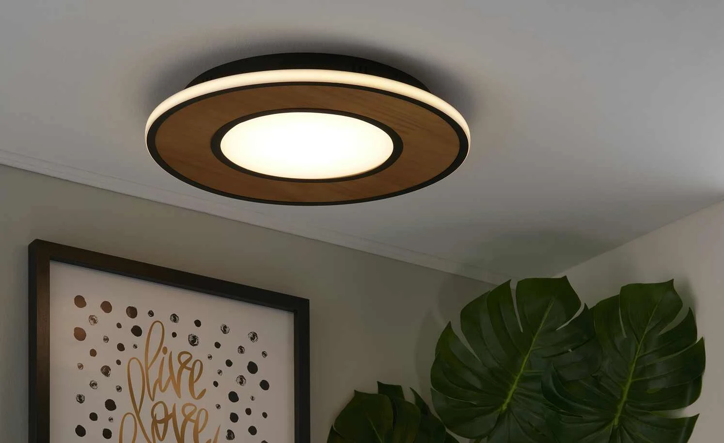 Trio LED-Deckenleuchte, neuseeländische Pinie 2 Trio LED-Deckenleuchte, neuseeländische Pinie – Bild 2