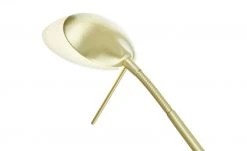 Fischer-Honsel LED-Stehleuchte, 1-flammig, messing matt -Innenleuchten Verkaufsladen 11687339 5 202201141239