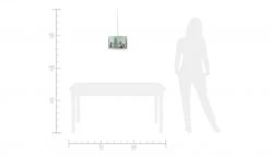 Hängeleuchte Wald 21 Hängeleuchte Wald -Innenleuchten Verkaufsladen 12574797 2 202002072235