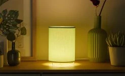 Uups Tischleuchte Mint -Innenleuchten Verkaufsladen 13575464 2 202207041239