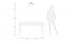 KHG LED-Deckenstrahler, 2-flammig Glas teilsatiniert -Innenleuchten Verkaufsladen 663426 5 202106212233