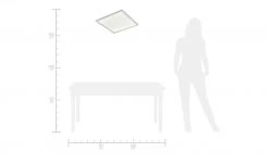 Paul Neuhaus LED-Deckenleuchte IP44 -Innenleuchten Verkaufsladen 663961 1 202001212235