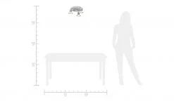 Deckenleuchte Fußballer -Innenleuchten Verkaufsladen 692733 1 202001282234