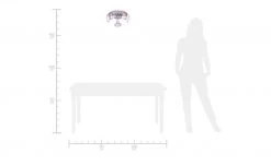 Deckenleuchte, 3-flammig, `Pferde` -Innenleuchten Verkaufsladen 693322 1 202001282234