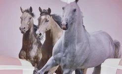 Deckenleuchte, 3-flammig, `Pferde` -Innenleuchten Verkaufsladen 693322 7 202106092233