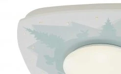 Deckenleuchte, 1+20-flammig, Motiv ´Wald` -Innenleuchten Verkaufsladen 694428 7 202105112233